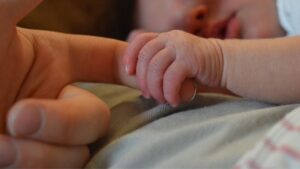 Yenidoğan Çetesi’nin iki numarası için ‘hücresine urgan bıraktılar’ diyen avukatına soruşturma