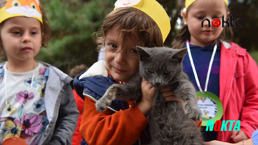 Sahiplenilen hayvanların 1 yıllık muayenesi Yıldırım Belediyesi