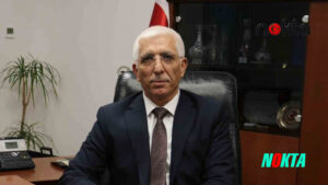 Zeytin üreticisine 800 milyon lira ödeme