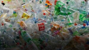 81 il için söz verilmişti: 4 aydır sadece Sakaryalılar attığı çöpten para kazanıyor