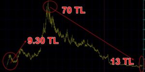 Araba yapacağım diyen şirketin hissesi 1 yılda yüzde 76 düştü