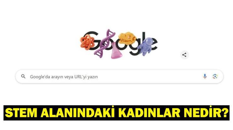 STEM Alanındaki Kadınlar Nedir, Ne Demek? 2025 Dünya Kadınlar Günü İçin Google’dan Özel Doodle!
