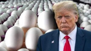 Ticaret savaşı için Çin’e kafa tutan ABD’de kahvaltısına yumurta bulamayınca Türkiye’nin kapısını çaldı