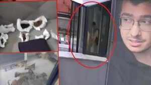 Köpekleri parçalayan doktorun evinden çıkanlar şoke etti!