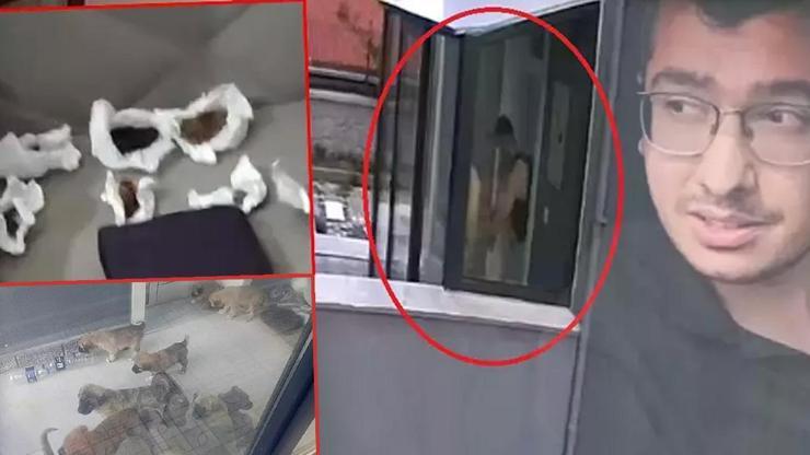 Köpekleri parçalayan doktorun evinden çıkanlar şoke etti!