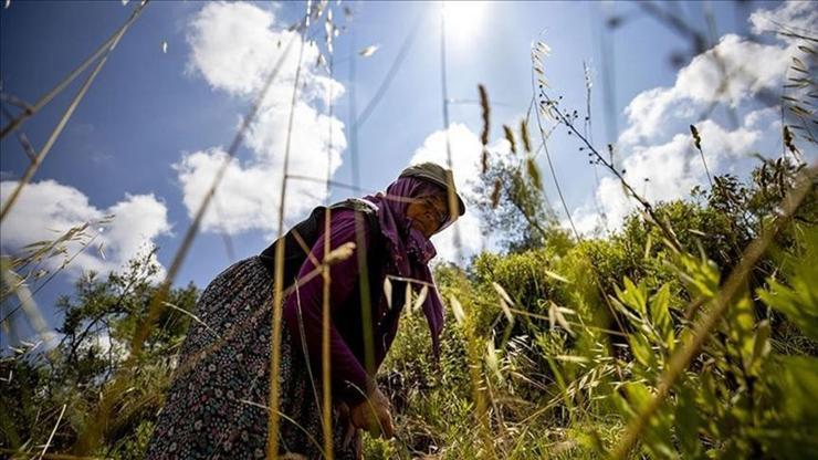 Bakan Yumaklı: Orman köylerinde ikamet eden kadınlarımıza mikro kredi uygulamasında yüzde 50 hibe vereceğiz