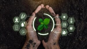 Biyolojik Birikim Nedir, Neden Olur? Biyolojik Birikim Nasıl Azaltılabilir?