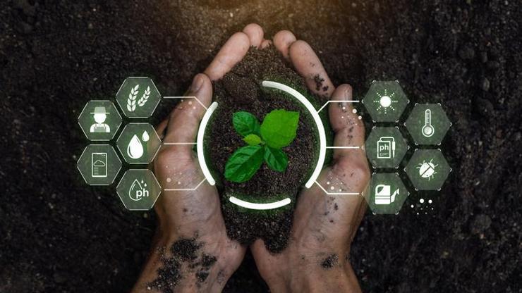 Biyolojik Birikim Nedir, Neden Olur? Biyolojik Birikim Nasıl Azaltılabilir?