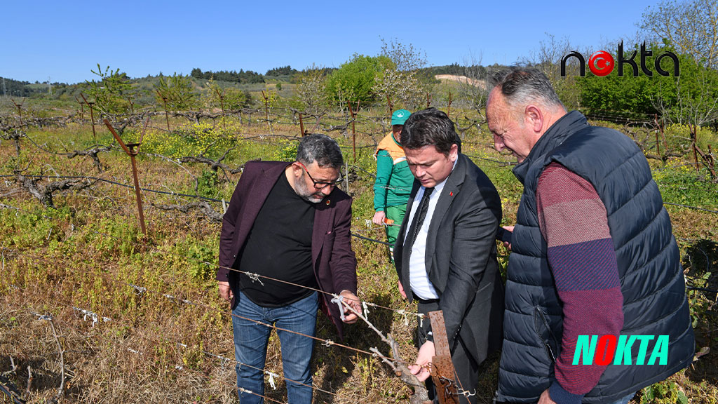 Başkan Aydın zirai don mağduru çiftçileri yalnız bırakmadı