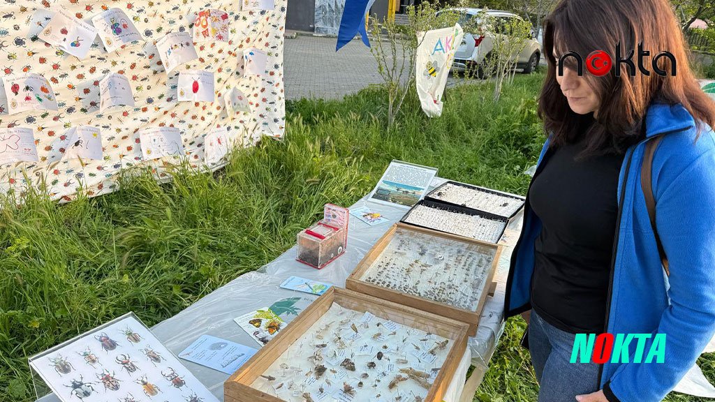 Yeniceabat’ta ‘Böcek Bilim’ buluşması yapıldı