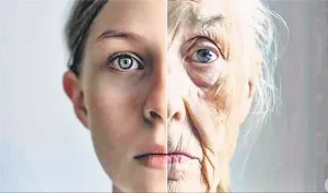 Uzun yaşamın sırrı çevresel faktörlerde gizli