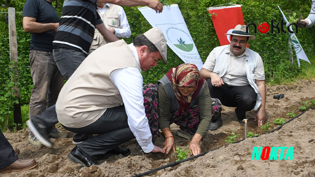 Bursa Osmangazi Belediyesi’nden tarımsal üretimde önemli adım