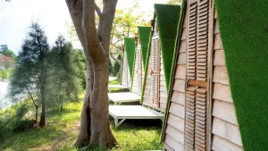 12 ilde ‘sahte bungalov’ operasyonu: 263 milyon liralık vurgun yaptılar