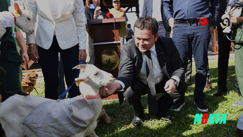 Adnan Kurtuluş'un da algı yaptığı 5 hayvan yardım derneğinden 25 milyon liralık vurgun