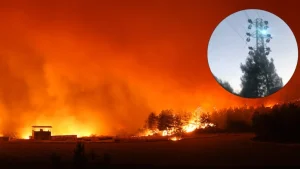 Yangının sorumlusu vergi yüzsüzü çıktı!