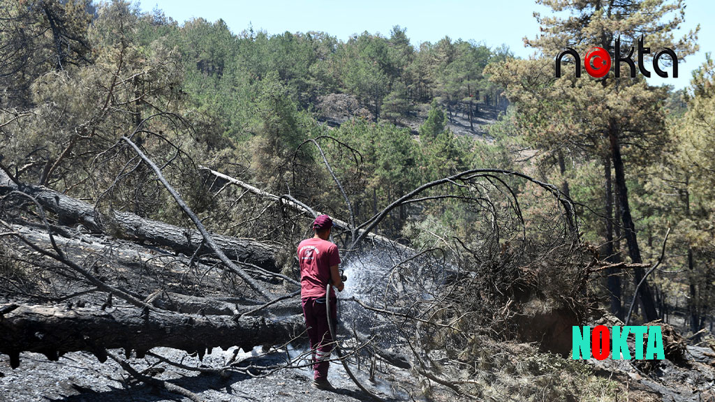 Osmangazi Belediyesi Arama Kurtarma Ekibi yangınla mücadele için sahada