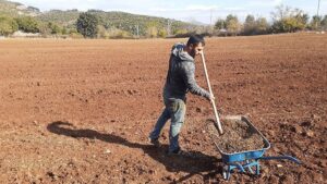 Grev Cengiz’e yaradı, gübreye zam yağdırdı