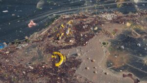 Karadeniz facianın eşiğinde: Petrol ve gemi yakıtı sızıntısı tespit edildi