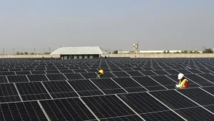 “Enerji Tarlası” ile 178 milyon liralık vurgun!