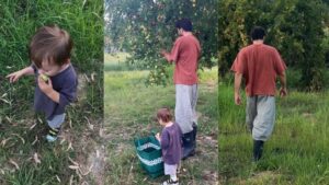 Ekranların aranan ismi, oğlu ile bahçeye girdi hasat yaptı