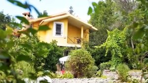 Ünlü oyuncunun orman içindeki evini gören hayran kalıyor