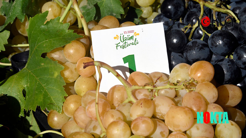 En kaliteli üzümler Osmangazi’de yarıştı