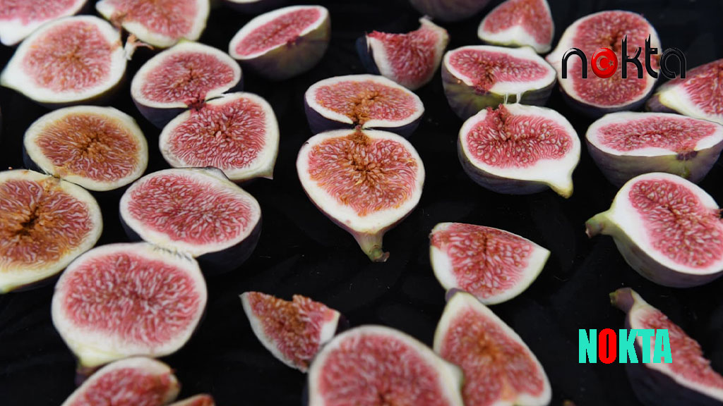 Osmangazi Belediyesi’nden dünyaca ünlü siyah incire festival