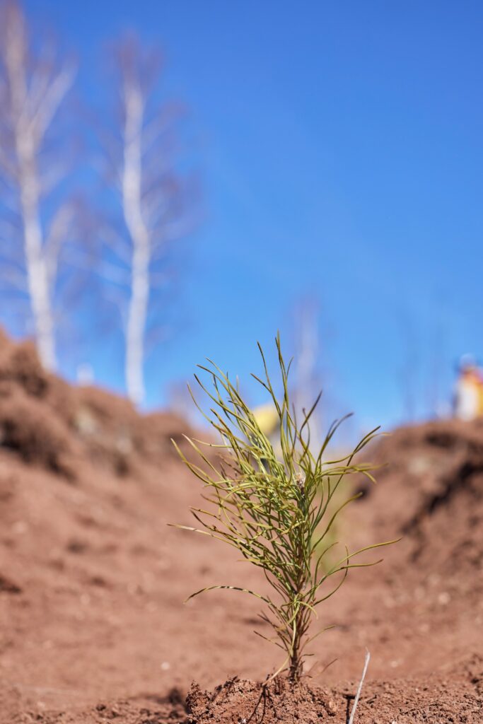 Uludağ Elektrik Dijitalleşme ve Enerji Tasarrufuyla Sürdürülebilir Geleceğe  Odaklanıyor