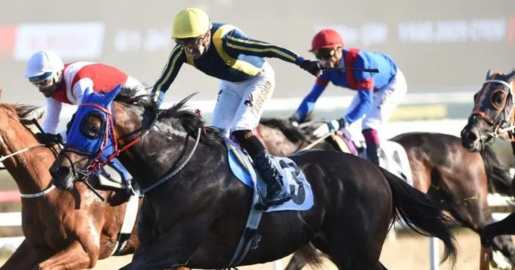 87. Cumhurbaşkanlığı Koşusu şampiyonu Grande Flusso oldu