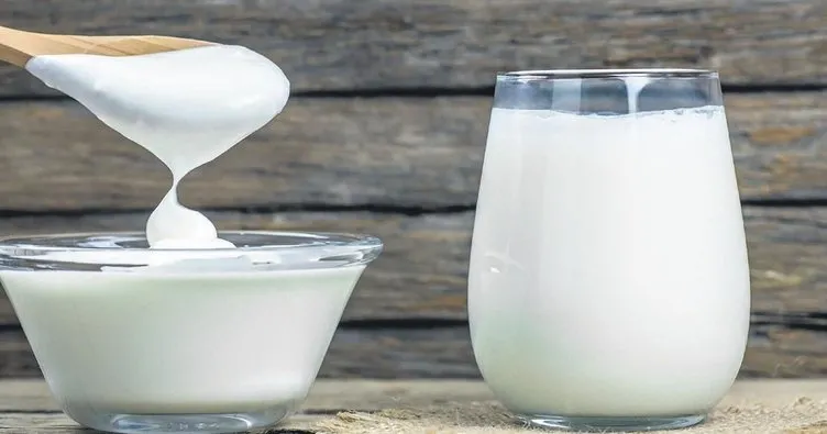 Güçlü bağışıklığın reçetesi her gün bir kase yoğurt bir bardak kefir