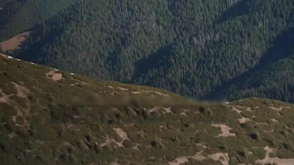 Ukraynalı erkeklerin ölüm yolculuğu