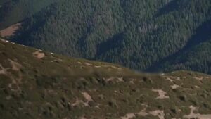 Ukraynalı erkeklerin ölüm yolculuğu