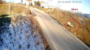 Aracıyla fındık bahçesine böyle uçtu