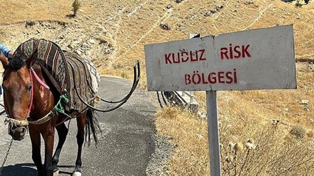 Bitlis’te köy kuduz alarmı! Bir köy karantinaya alındı