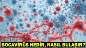 Bocavirüs Nedir, Nasıl Bulaşır? İşte Bocavirüs Hakkında Bilinmesi Gerekenler